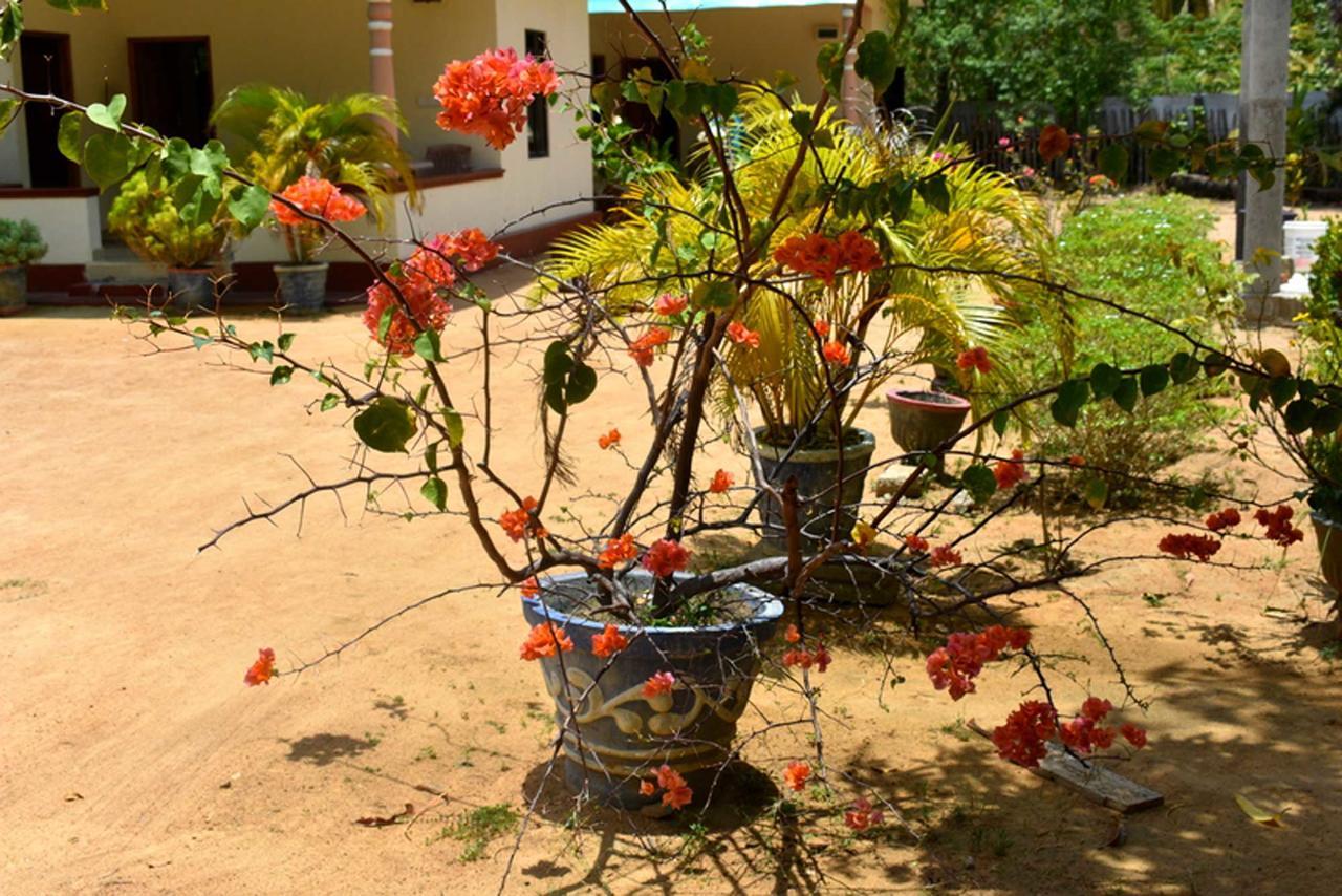 Yaswi Guest House Passikudah Экстерьер фото